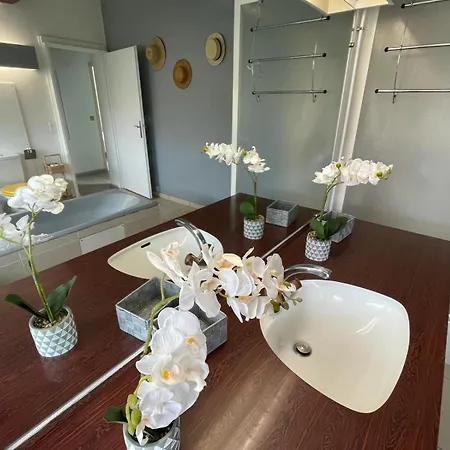 Bacchus Villa Thonon-les-Bains