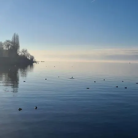 Bacchus Thonon-les-Bains